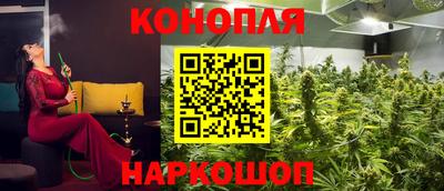 мяу мяу мука Будённовск